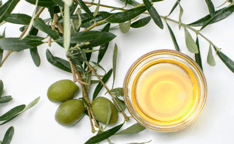 Olive Leaf Extract