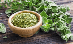 Oregano