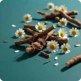 Adaptogens for Stress and Sleep