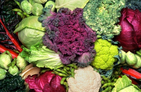 Broccoli