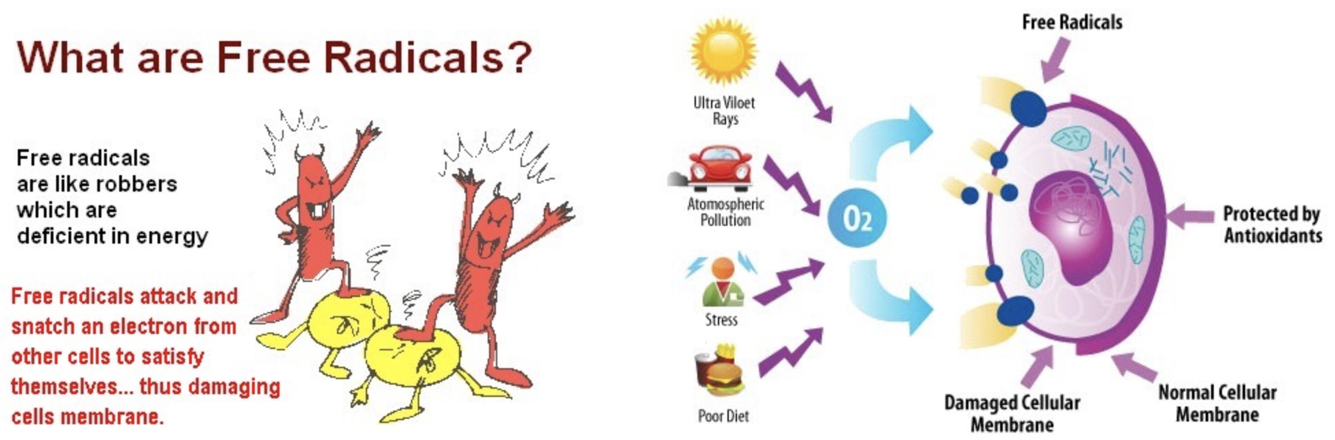 Free radicals