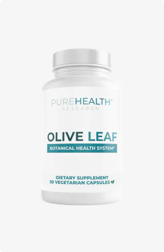 Olive Leaf