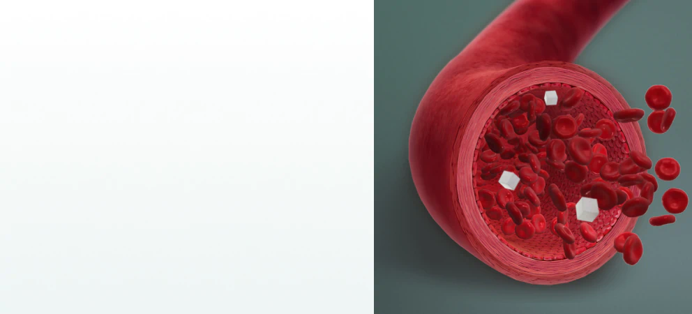 A medical illustration of blood vessels with red blood cells and sugar particles, highlighting the effects of supplements for blood sugar control.