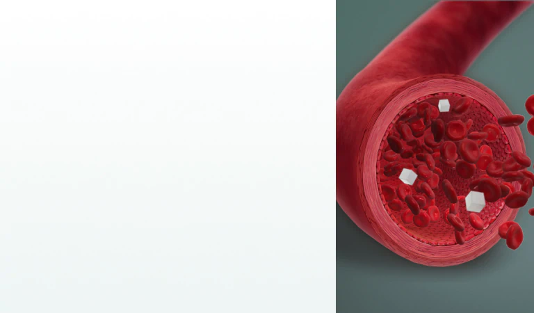 A medical illustration of blood vessels with red blood cells and sugar particles, highlighting the effects of supplements for blood sugar control.