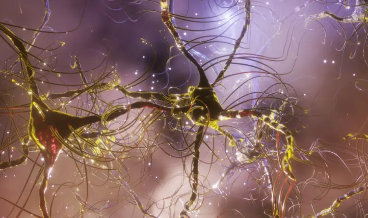 A 3D-rendered visualization of neurons with glowing synapses, representing the importance of supplements for nervous system support.