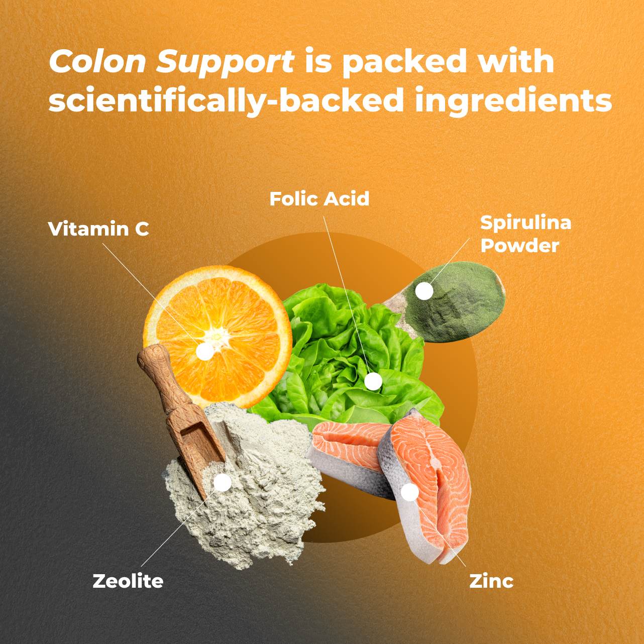 Colon Support