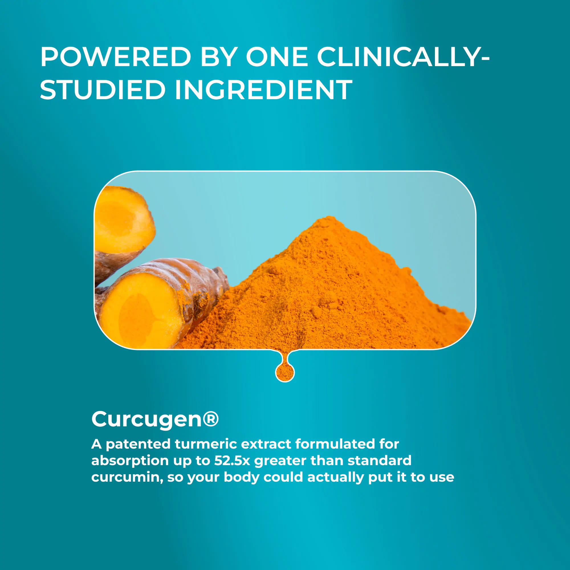 Curcumin Extract