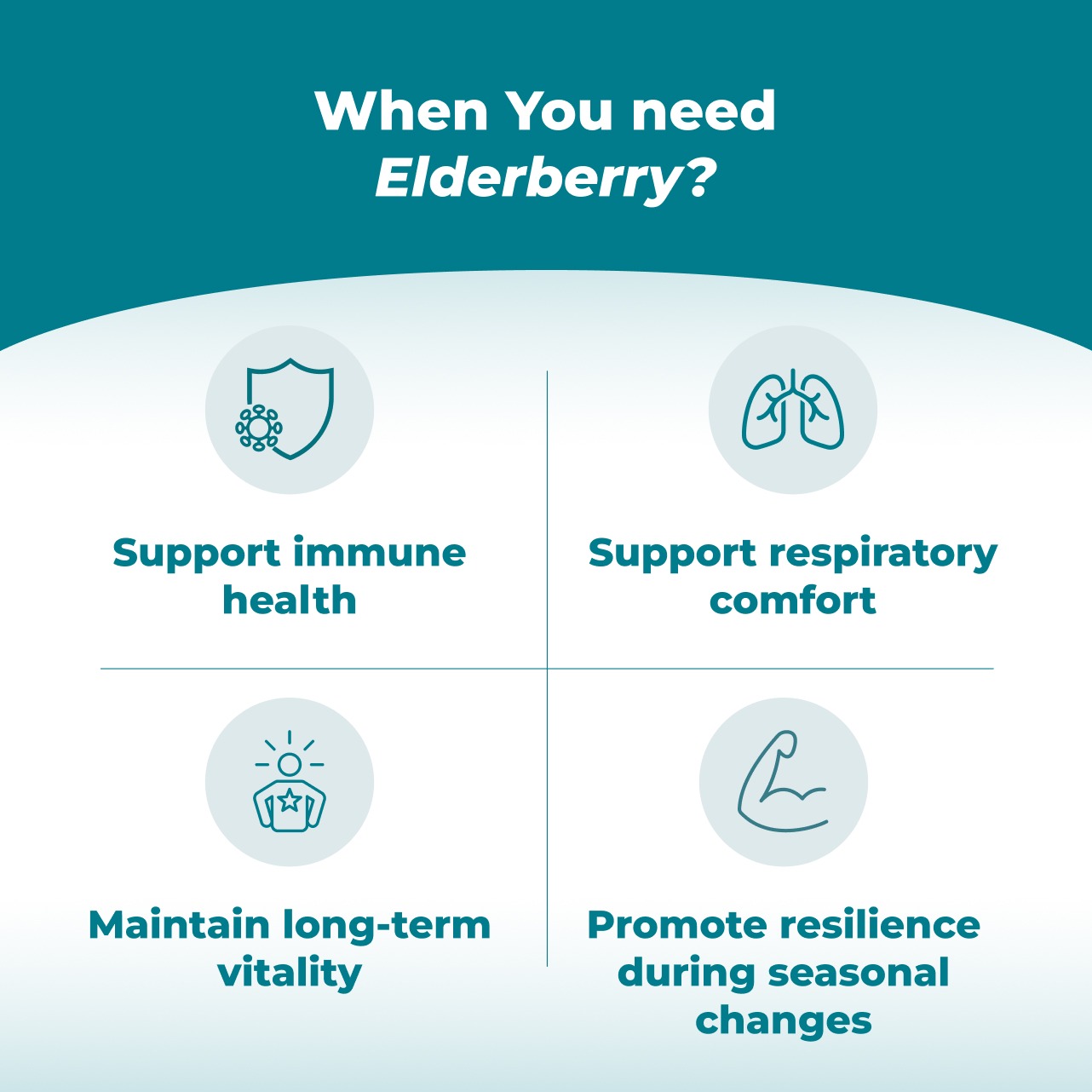 Elderberry