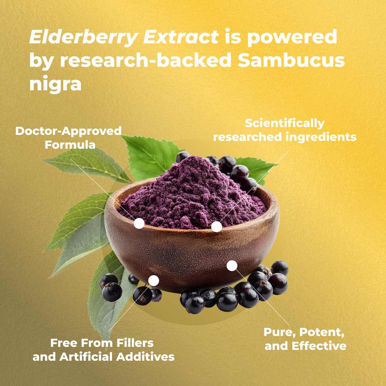 Elderberry