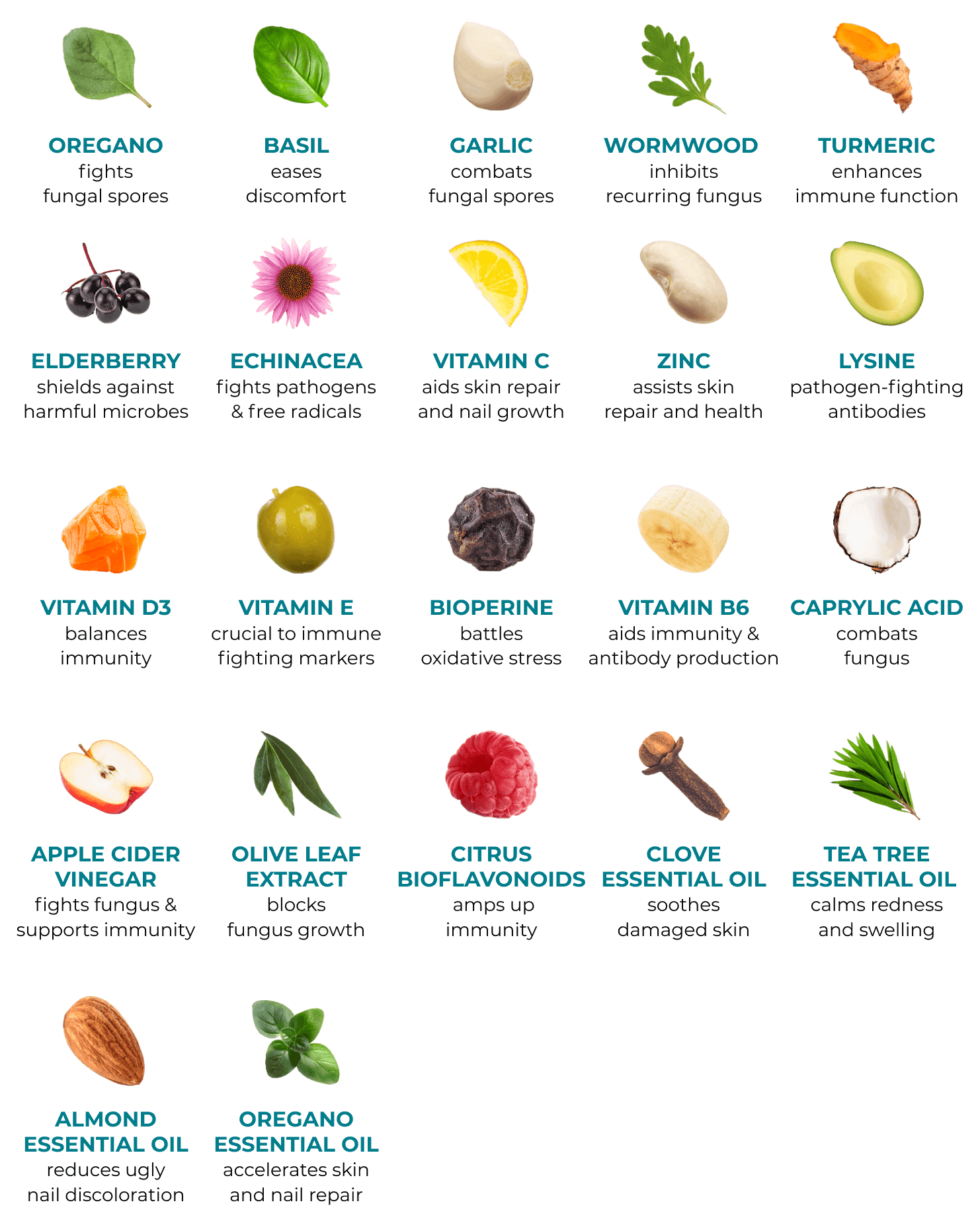 ingredients