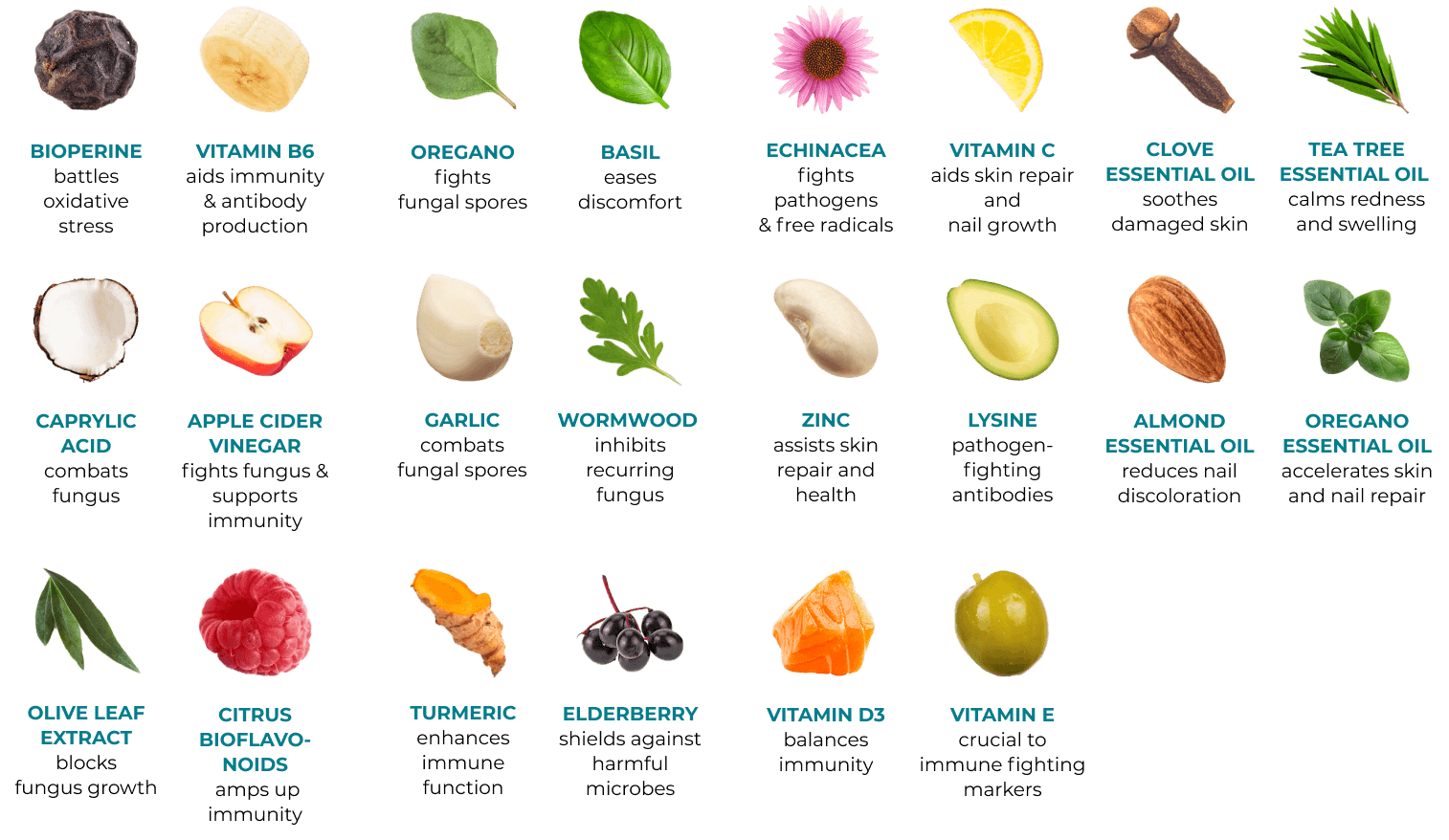 ingredients