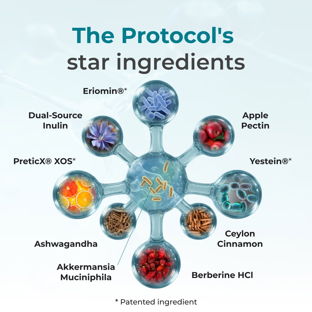 Natural GLP-1 Activation Protocol
