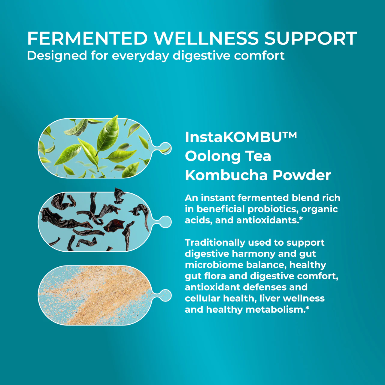 Gut Kombucha