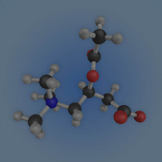 Acetyl-L-Carnitine (ALCAR)