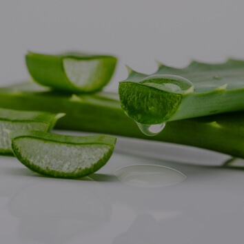 Aloe Barbadensis (Aloe Juice) Leaf Extract