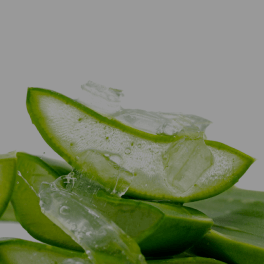 Aloe Barbadensis Leaf Extract