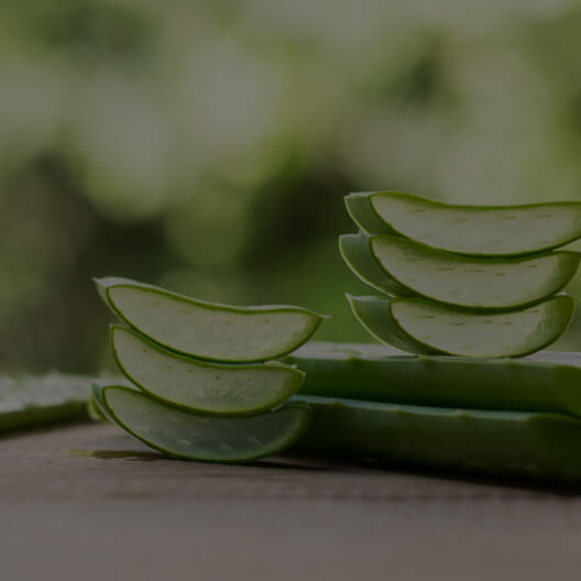 Aloe Vera leaf gel concentrate