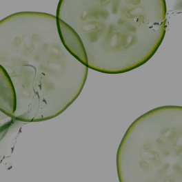 Cucumis Sativus (Cucumber) Fruit Extract