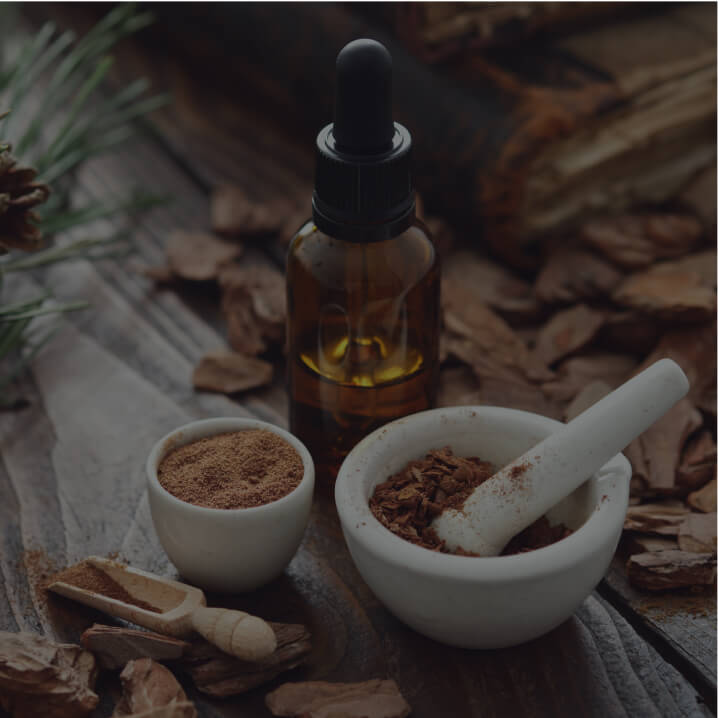 French Maritime Pine Bark Extract