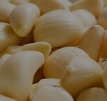 Garlic Bulb