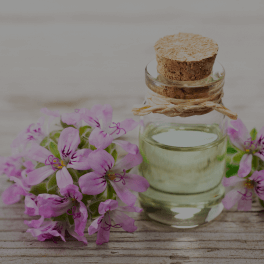 Geranium Leaf Oil (pelargonium graveolens)