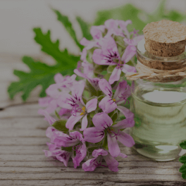 Pelargonium Graveolens (Geranium) Flower Oil