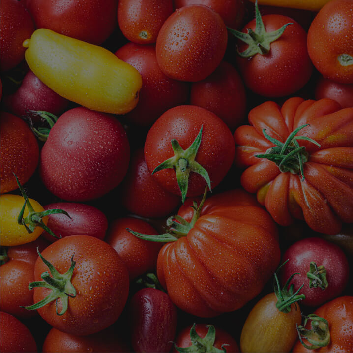 Lycopene 5%