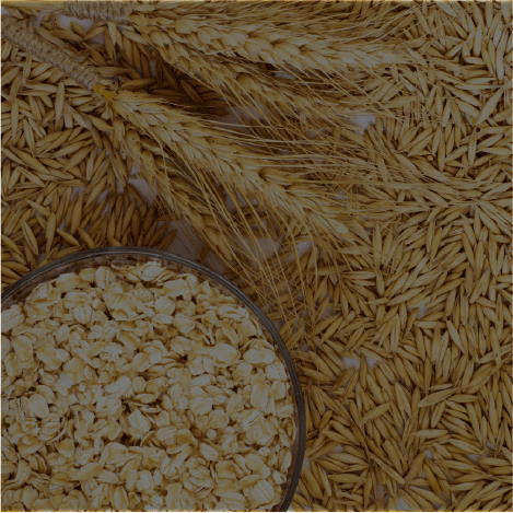 Oat straw extract