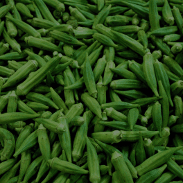 Okra