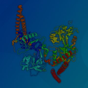 Lactoferrin