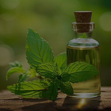 peppermint oil