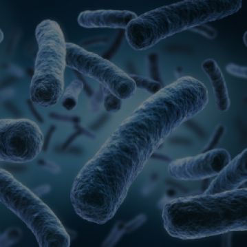 Probiotic Blend