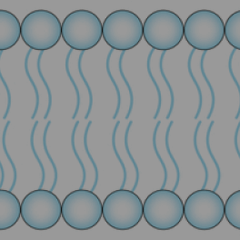 Phospholipids