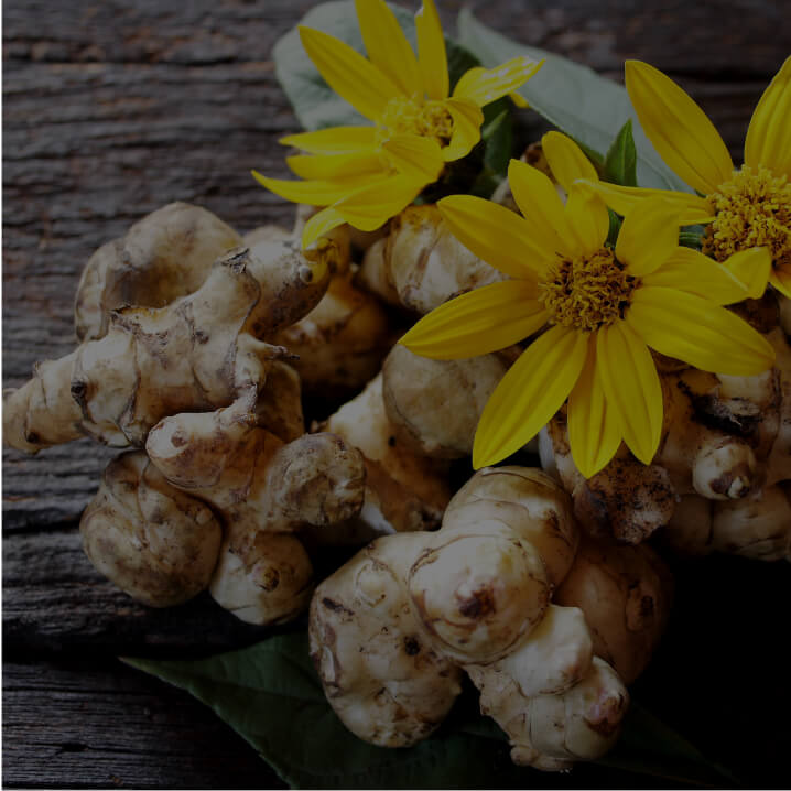 Prebiotics