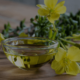 Evening Primrose Oil (oenothera biennis)