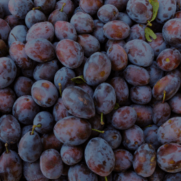 Prune