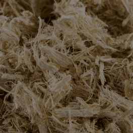 Slippery Elm