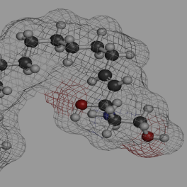 Sphingolipids
