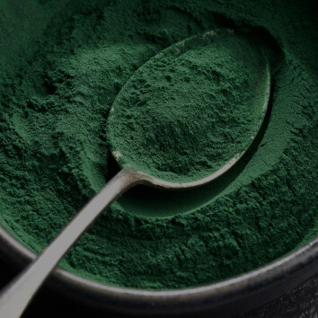 Spirulina