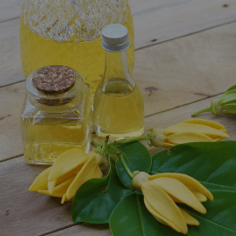 Ylang Ylang Flower Oil (cananga odorata)