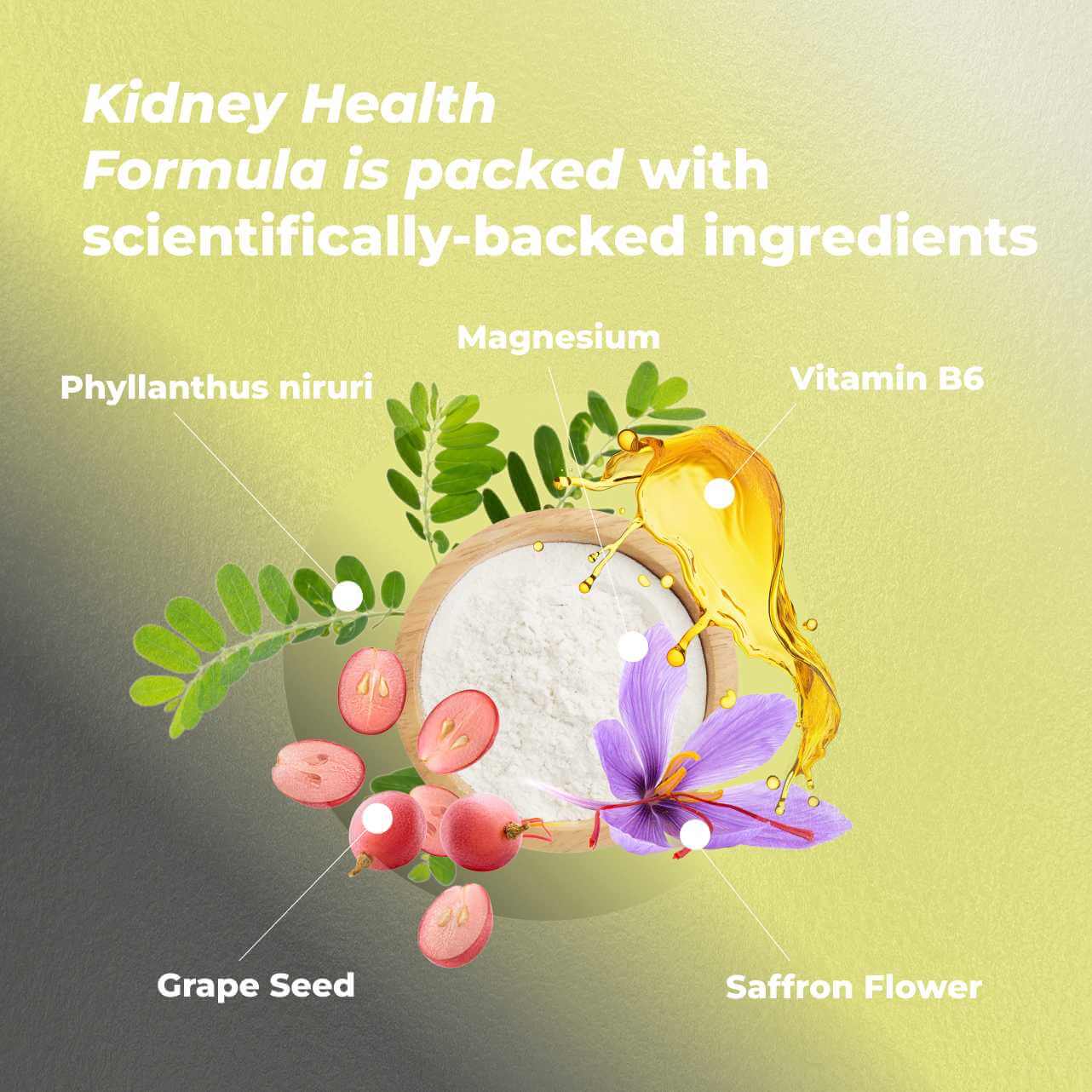 Kidney Health Formula