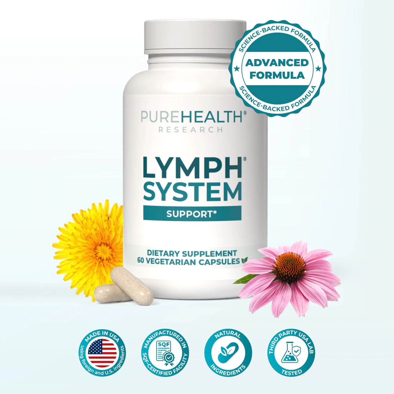 Lymph System Support