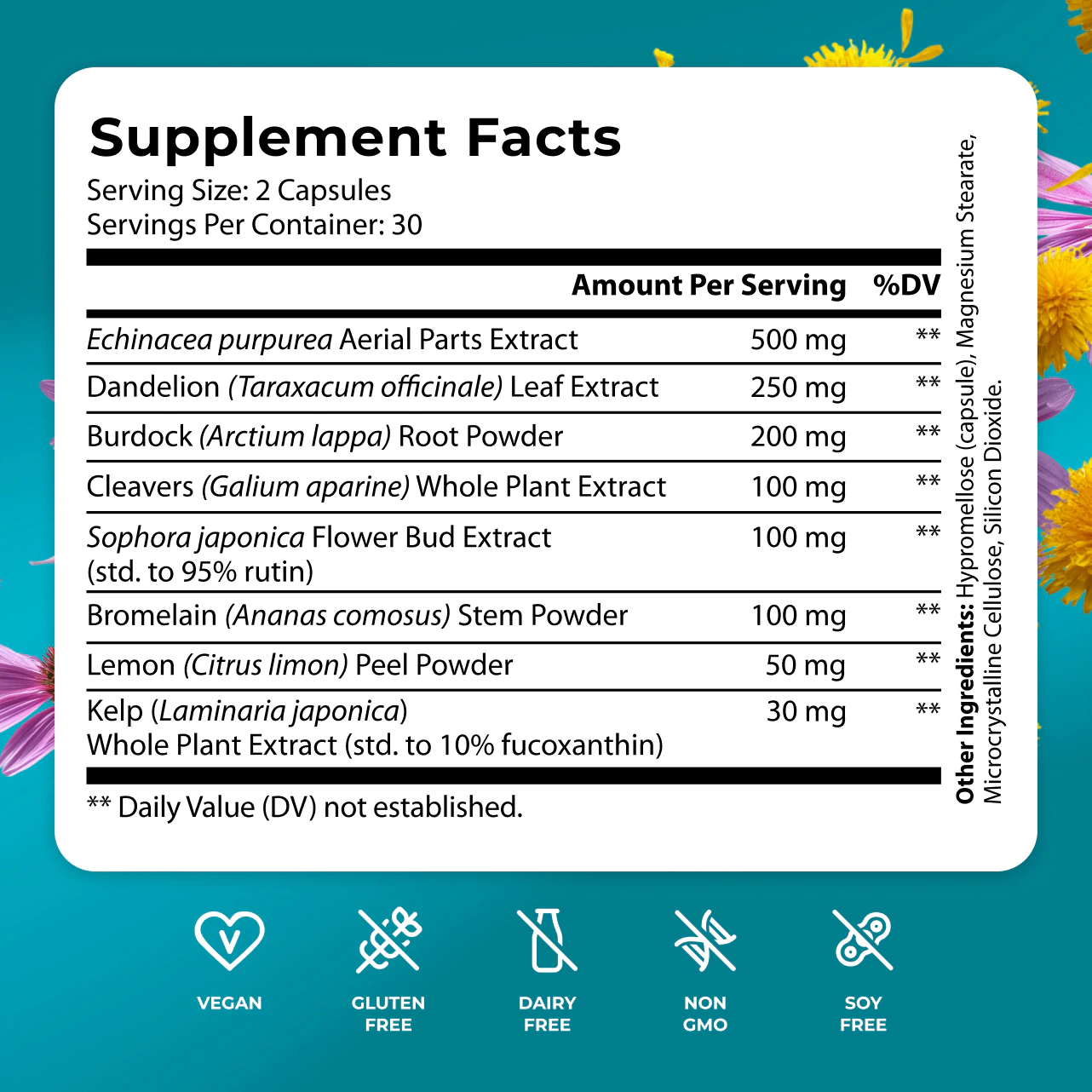 Lymph System Support
