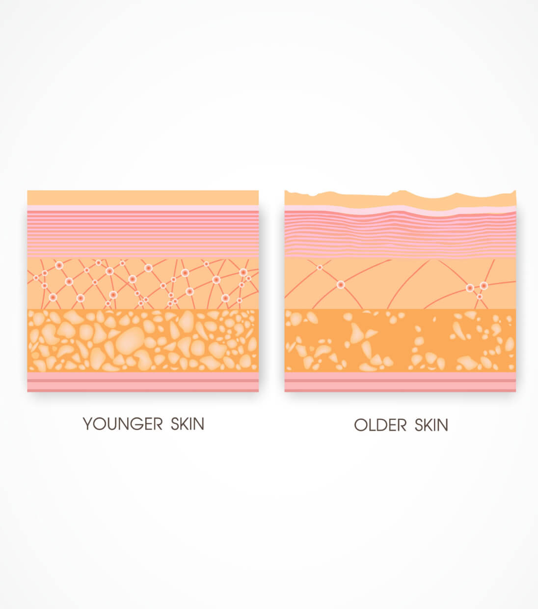 younger older skin