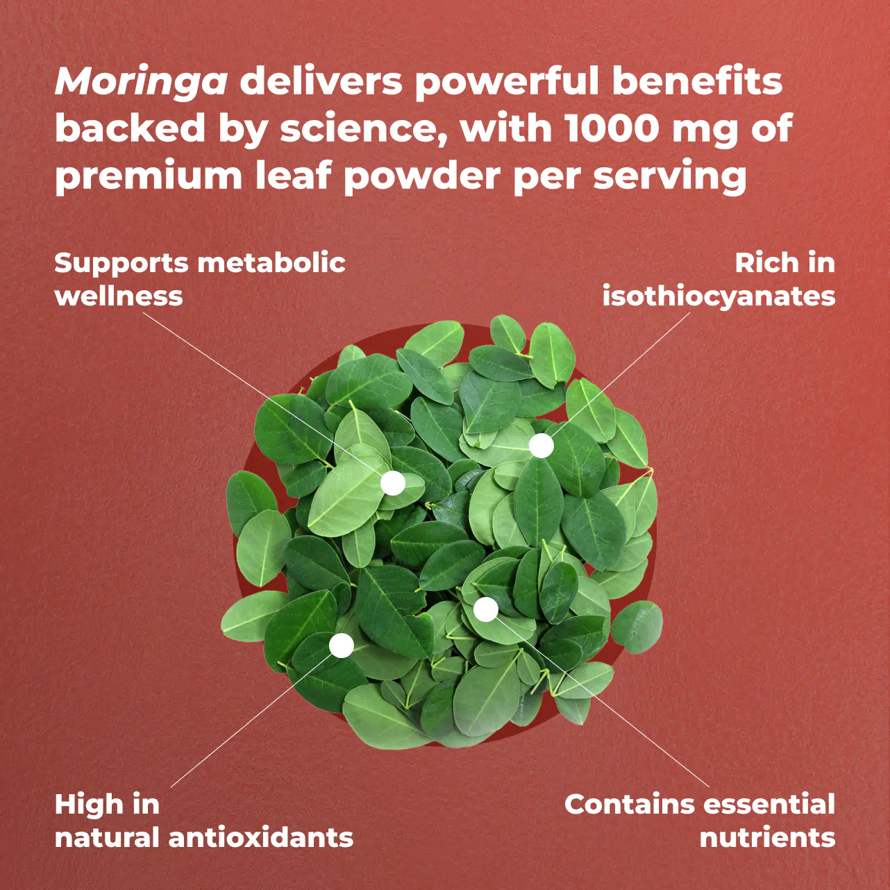 Moringa