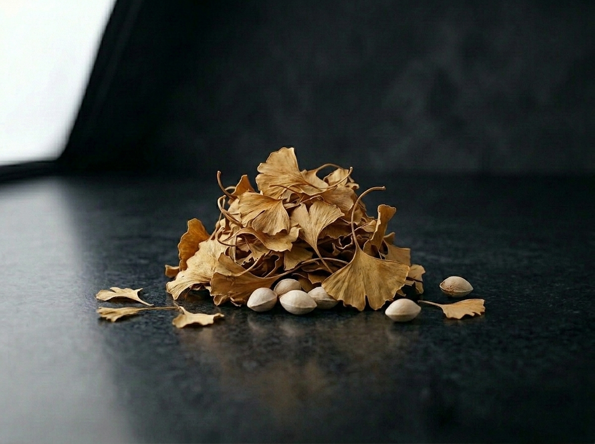 Ginkgo Biloba