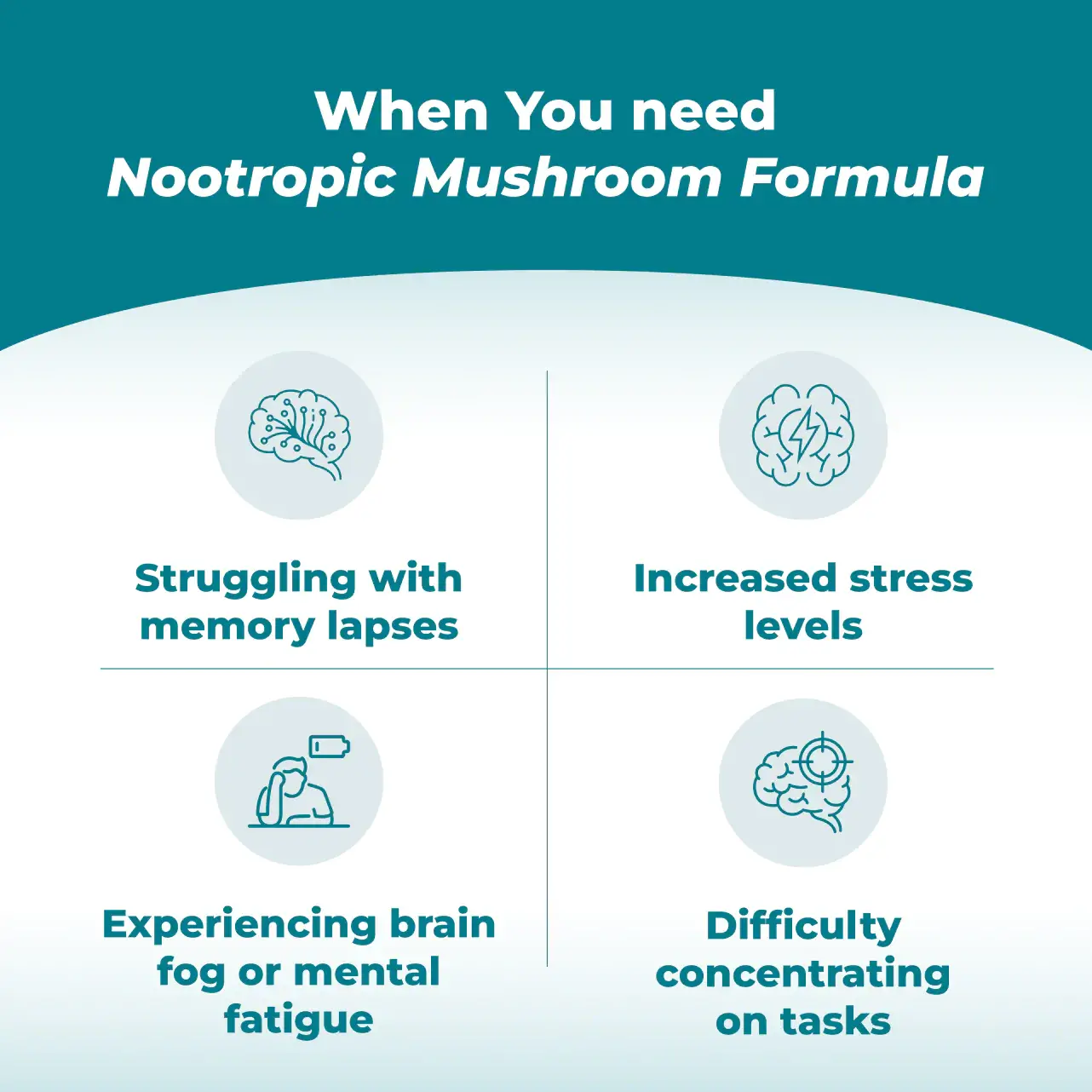 Nootropic Mushroom Formula
