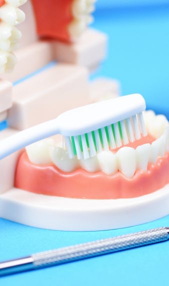dental care