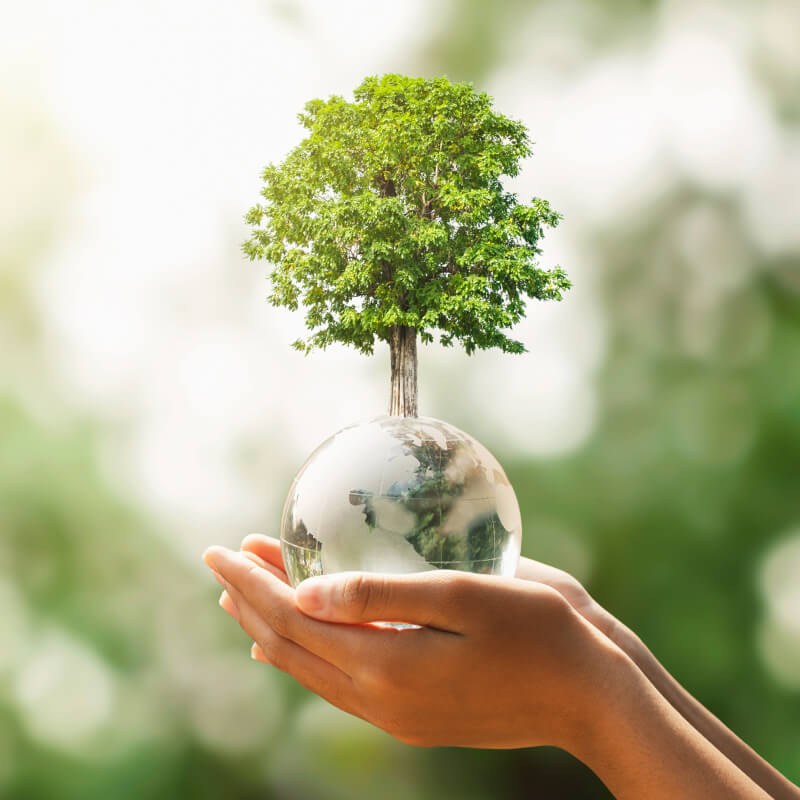Person holding Earth
