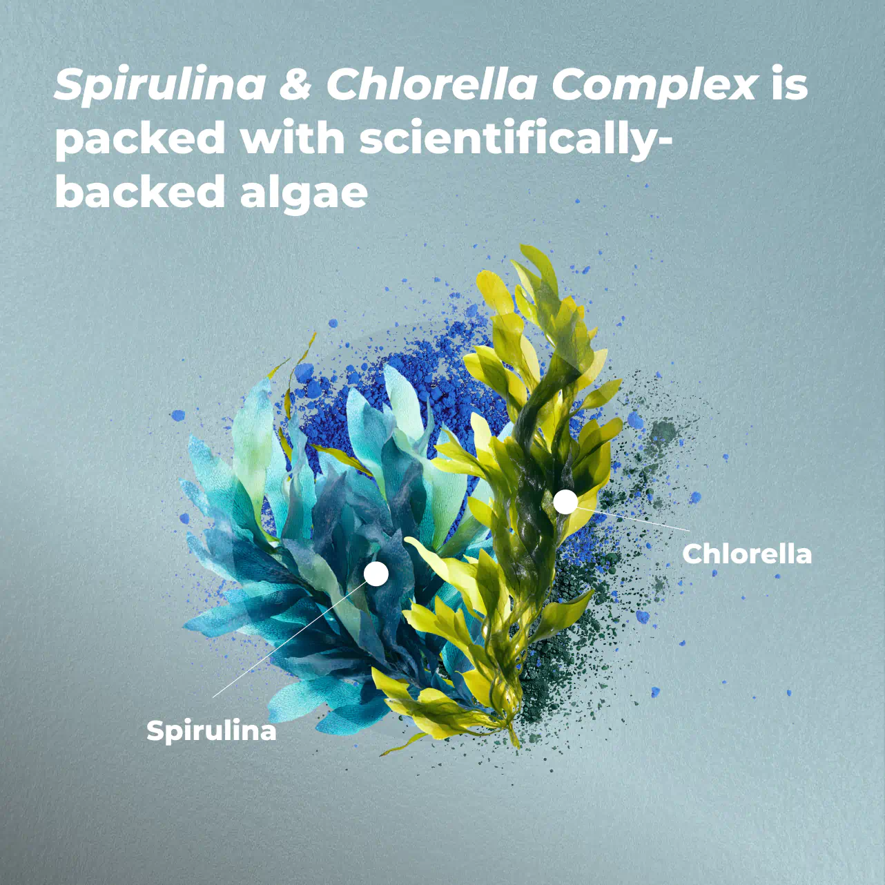 Spirulina & Chlorella Complex